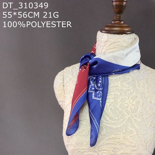 DT_310349